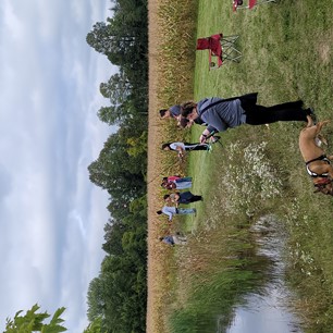 Several people fishing by a pond and cornfield