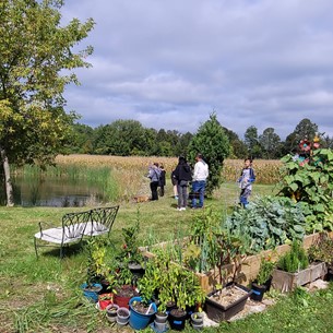 Several people fishing by a pond and garden